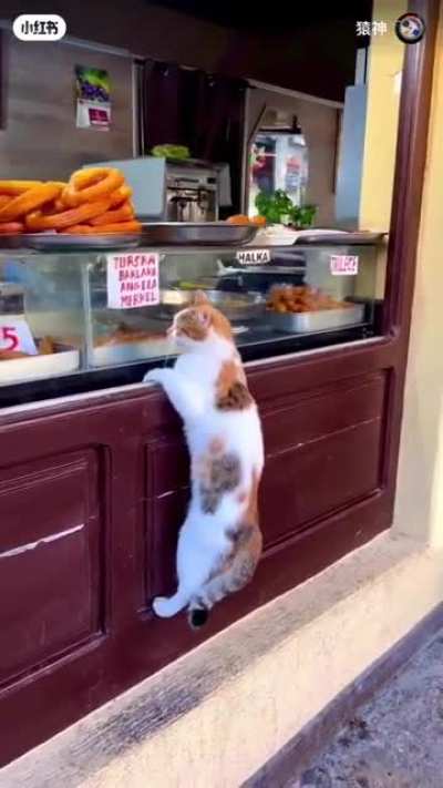 Window shopping