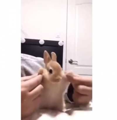 sowwy for being cool guys