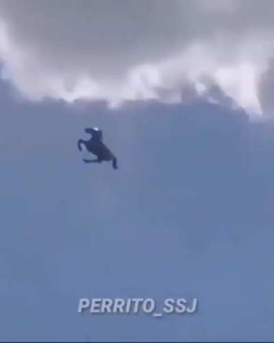 siii