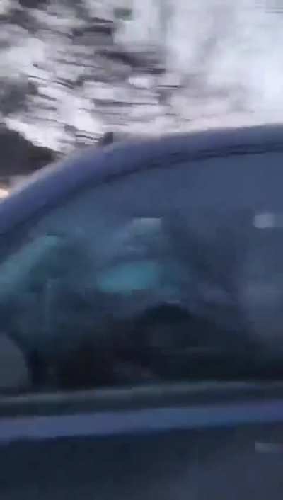 ICE kidnapped a child in north Minneapolis 1/22 approx 5:30. McKinley