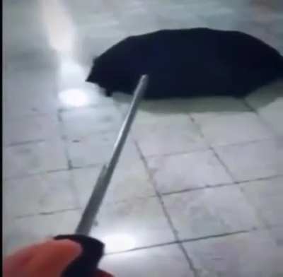 I mean..bad luck is bad luck