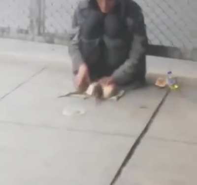 Rat Whisperer