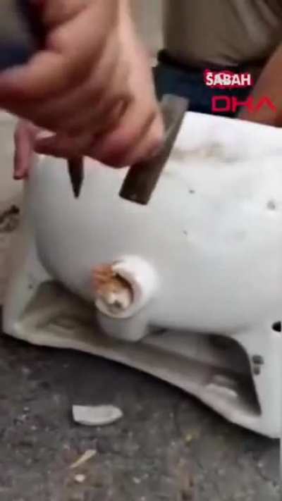 A kitten stuck in the toilet was later pulled out.