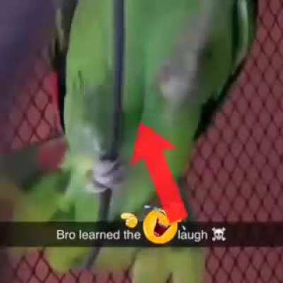 ⁉️Removal of the frontal lobe⚠️ ( mark of Cain)