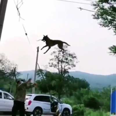 Crazy jump