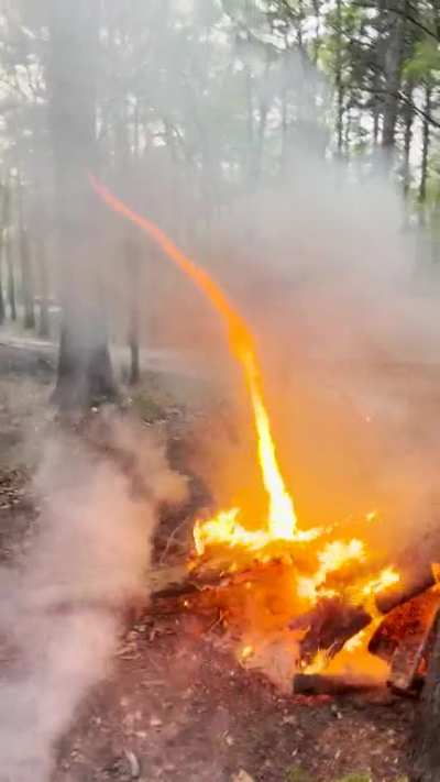 Fire &lsquo;Nado