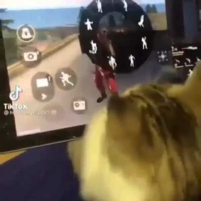 ⅒