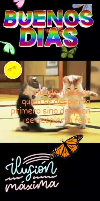 Buenosdias.3gp