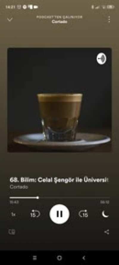 CELAL HOCA K&Uuml;F&Uuml;R EDİYOR