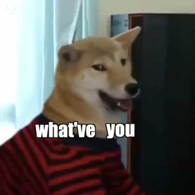 Gamer Dog&hellip;