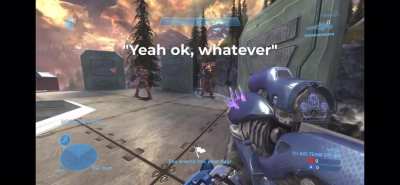 Even love can bloom on the battlefield