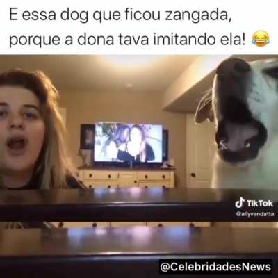 O melhor desse v&iacute;deo &eacute; a patada que o cachorro d&aacute; na menina no final