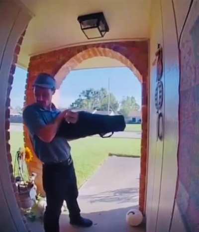 Squirrel freaks out when door opens