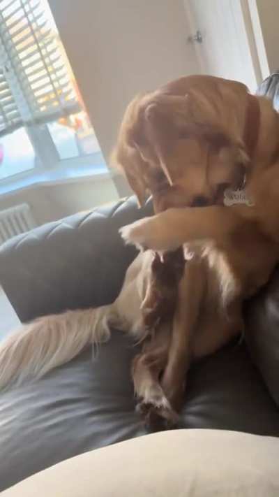It&rsquo;s a love hate relationship
