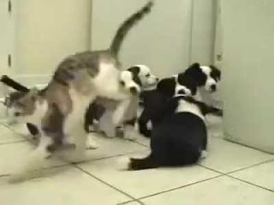 Leave me alone.
