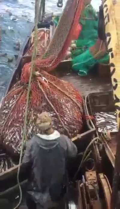 Watch till the end