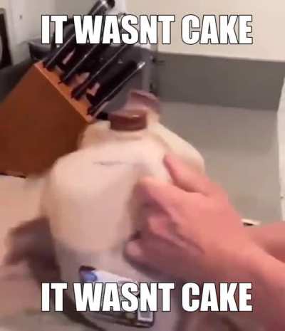 IT WASNT KAKE
