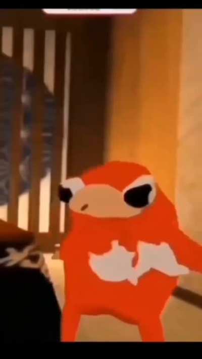 Noooooooooo