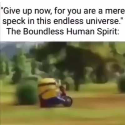 rule