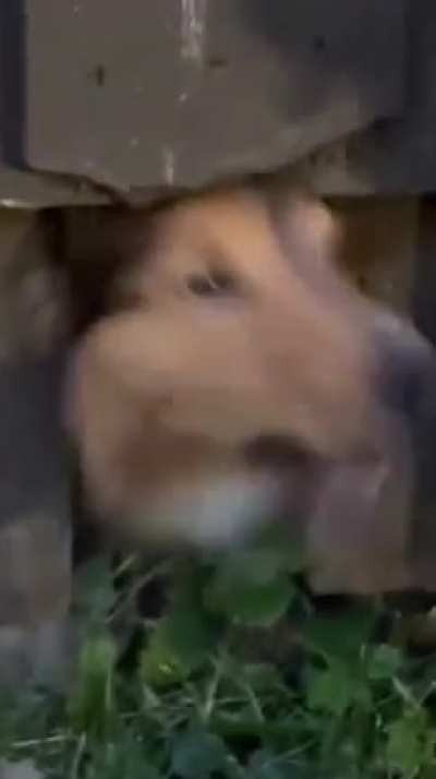 Calm down bro