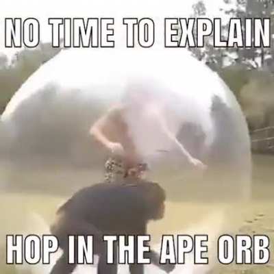 hoping into the ape orb 🦧