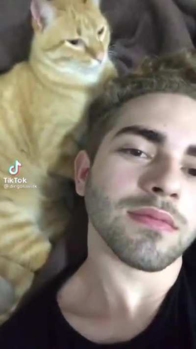 lul