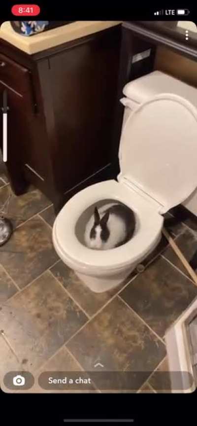 I thought I heard splashing coming from the bathroom&hellip;