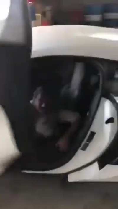 Tried filming a video, probably got his fingers sliced