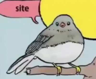 The meme today