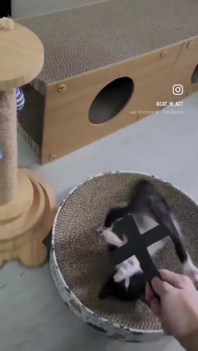 exorcism wunk