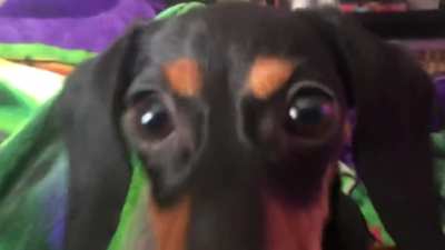 Boop