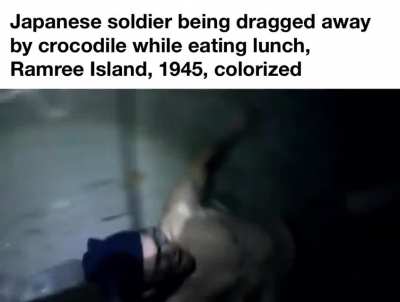 &ldquo;Most soldiers killed by crocodiles in a battle.&rdquo;