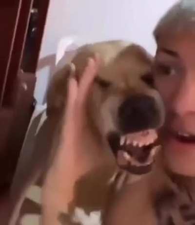 Beatboxing w dog