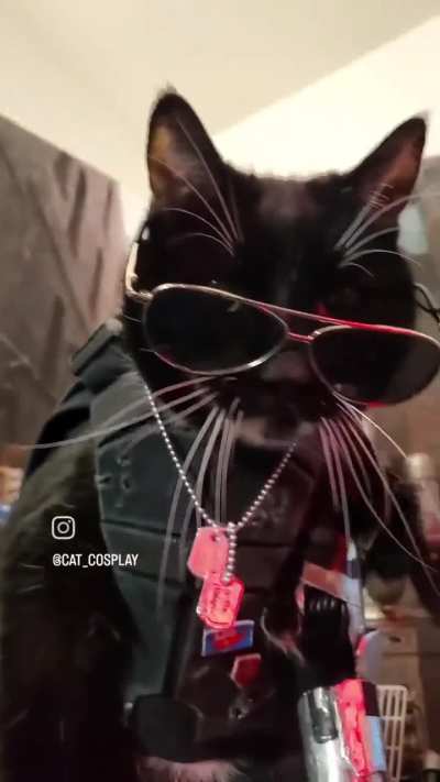 CyberWunk: 2077
