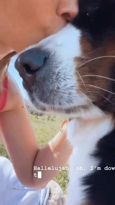 Another great vid