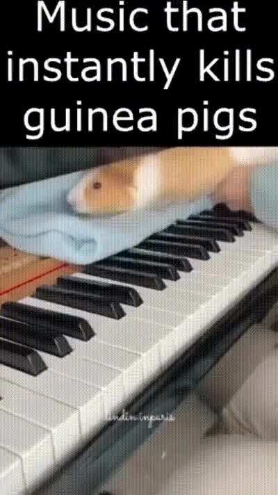 Must be a banger