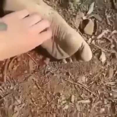 Thanks I hate tickle tickle