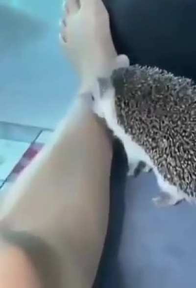 Little Sonic