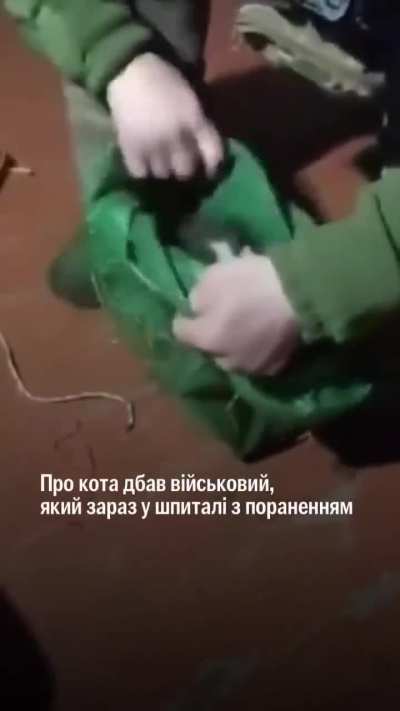 A drone that brought food to Ukrainian Defenders on positions, brought back passengers - a cat and dog. They flew 12 kilometers during their evacuation. The Defenders of 14th Separate Mechanized Brigade are taking care of them.