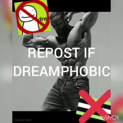 Dreamphobic chad and i will wear a dreamphobic shirt in roblox