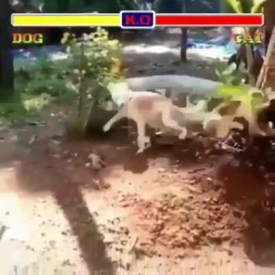 Street fighter