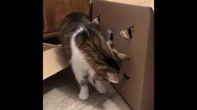 Sneaky nose(warning for loud sound)