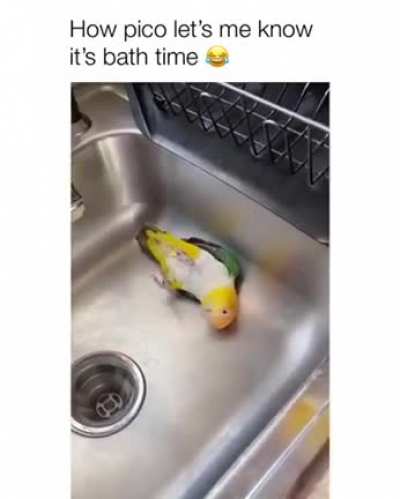 Bath-time for Pico