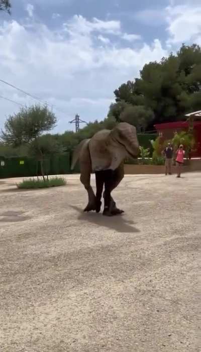 Jurassic Park 