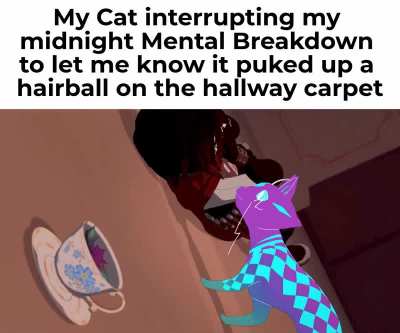I love my cat