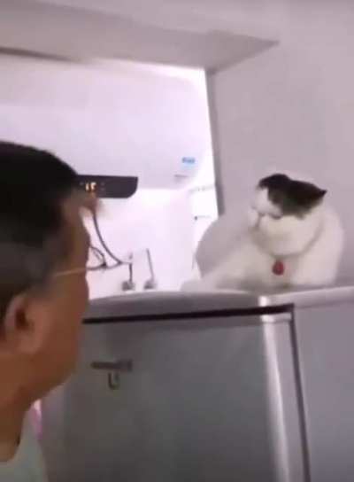 Let go of me HUMAN!