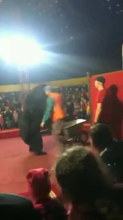 Bear at a circus
