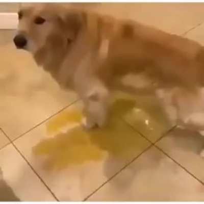 se rompio el wawa