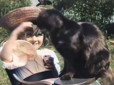 A cat video from 1899 colorized &amp;amp; speed corrected