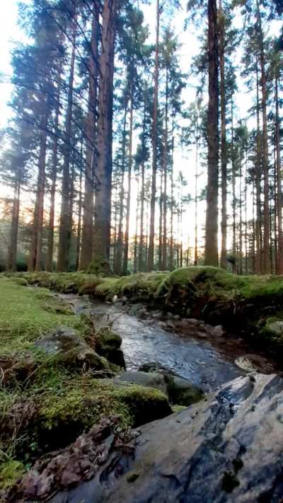 Morning in Ireland